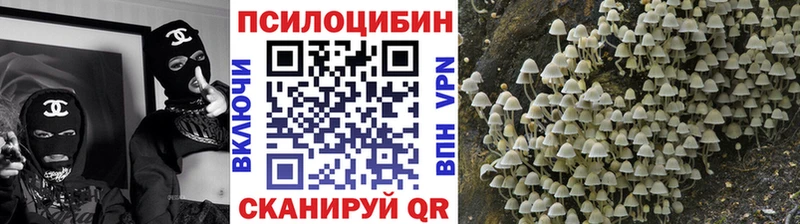 ОМГ ОМГ ссылка  Чита  Псилоцибиновые грибы мицелий 